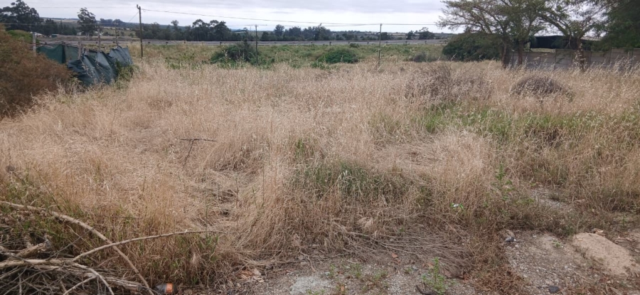 0 Bedroom Property for Sale in Hopefield Western Cape